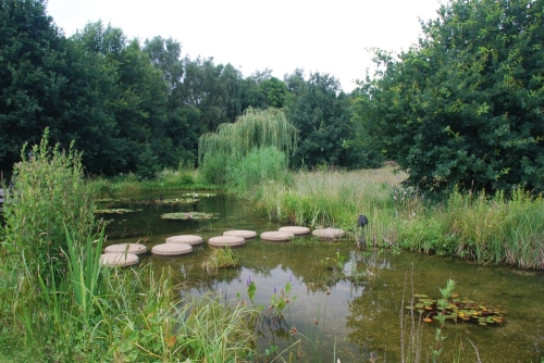 natuurlijke_vijver_project_afferden_20150919_1939153418